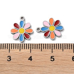 304 Stainless Steel Charms&nbsp;STAS-C083-14P-01