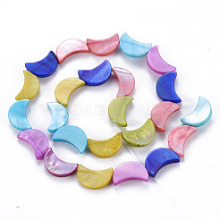 Natural Freshwater Shell Beads Strands&nbsp;SHEL-N026-165