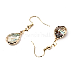 Natural Paua Shell Dangle Earrings&nbsp;EJEW-JE06274-06