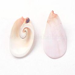 Natural Freshwater Shell Beads&nbsp;BSHE-L036-29