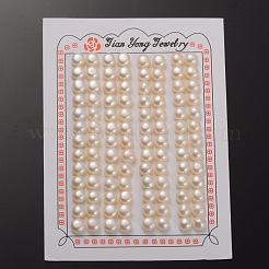 Natural Cultured Freshwater Pearl Beads&nbsp;PEAR-E001-16