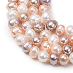Natural Cultured Freshwater Pearl Beads Strands&nbsp;PA-CBABE82-14