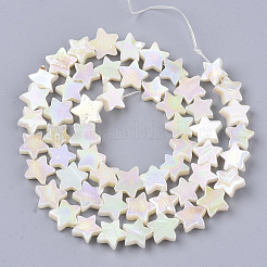 Freshwater Shell Beads Strands&nbsp;SHEL-N026-08A