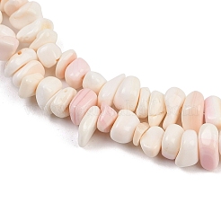 Natural Pink Shell Beads Strands&nbsp;X-SSHEL-L016-19
