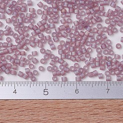MIYUKI Delica Beads&nbsp;X-SEED-J020-DB0857