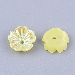 Opaque Resin Beads&nbsp;RESI-T040-009