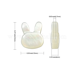 5Pcs Natural White Shell Beads&nbsp;BSHE-CJ0001-06