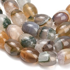 Natural Agate Beads Strands&nbsp;GG-L001-F01-01