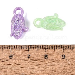 Opaque Plastic Pendants&nbsp;KY-Q010-02