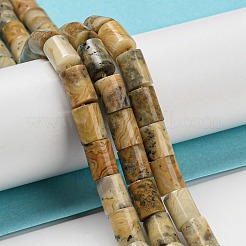Natural Crazy Lace Agate Beads Strands&nbsp;G-Q1008-A08