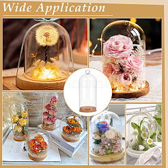 Glass Dome Cover&nbsp;AJEW-WH0604-68B