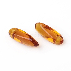 Czech Glass Charms&nbsp;X-GLAA-G077-01