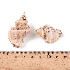 Natural Sea Shell Pendants&nbsp;SSHEL-N038-53