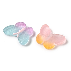 Luminous Translucent Resin Decoden Cabochons&nbsp;RESI-M041-06