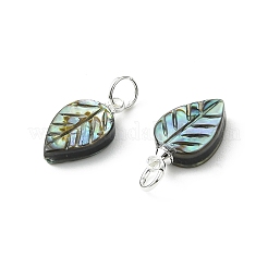 Natural Paua Shell/Abalone Shell Carved Pendants&nbsp;PALLOY-JF05615-02