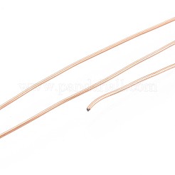 10M 304 Stainless Steel Wire&nbsp;TWIR-N005-0.6mm-RG