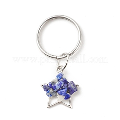 Tibetan Style Alloy Pendants Keychains&nbsp;KEYC-JKC00302
