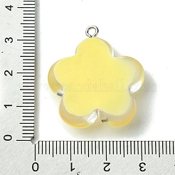 Translucent Resin Pendants&nbsp;RESI-P039-01P