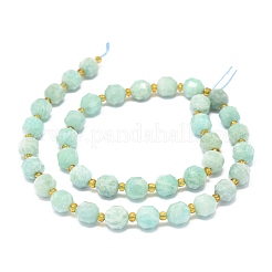 Natural Amazonite Beads Strands&nbsp;G-O201B-67A