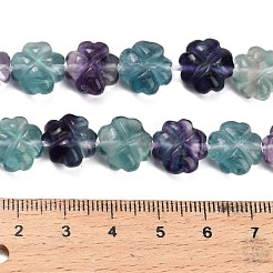 Natural Fluorite Beads Strands&nbsp;G-L634-J04
