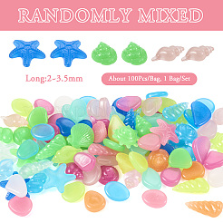 Glow in The Dark Rocks&nbsp;LUMI-TA0001-03