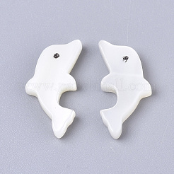 Natural Trochid Shell/Trochus Shell Beads&nbsp;LS-SSHEL-N034-61