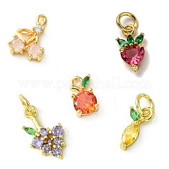 5Pcs 5 Styles Brass Micro Pave Cubic Zirconia Charms&nbsp;ZIRC-FP0001-01