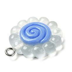 Translucent Resin Pendants&nbsp;RESI-L038-02P-04