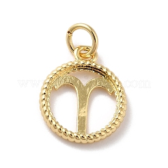 Brass Charms&nbsp;LS-KK-A160-20G-01