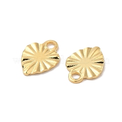 304 Stainless Steel Charms&nbsp;STAS-C080-03G
