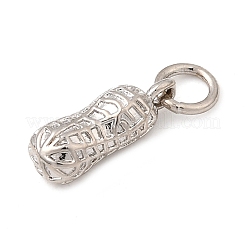 Brass Pendants&nbsp;KK-I364-48P