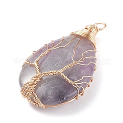 Natural Gemstone Charms&nbsp;PALLOY-JF01340