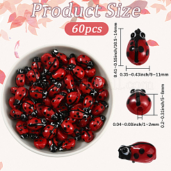 60Pcs Handmade Lampwork Beads Strands&nbsp;LAMP-LT0001-02