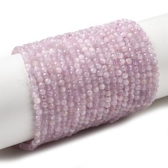 Natural Kunzite Beads Strands&nbsp;G-P603-C-2mm-05