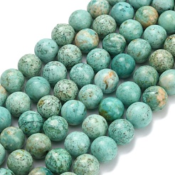 Natural Peruvian Turquoise(Jasper) Beads Strands&nbsp;G-L642-B08-10mm