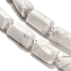 Natural Howlite Beads Strands&nbsp;G-K245-I22-01