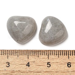 Natural Labradorite Cabochons&nbsp;G-F776-02A-21