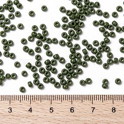MIYUKI Round Rocailles Beads&nbsp;SEED-G008-RR0501
