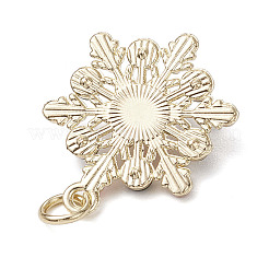 Alloy Pendants&nbsp;PALLOY-JF02967
