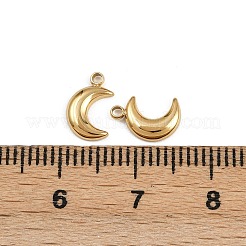 304 Stainless Steel Charms&nbsp;STAS-K295-18G