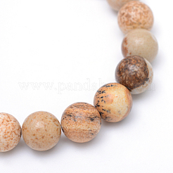 Round Natural Picture Jasper Bead Strands&nbsp;G-R345-8mm-19