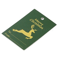 Rectangle Paper Gift Tags&nbsp;CDIS-F008-01F