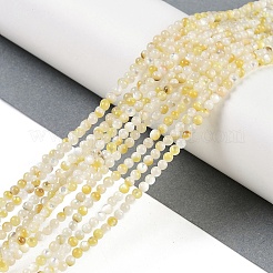Natural Trochus Shell Beads Strands&nbsp;BSHE-H109-12A