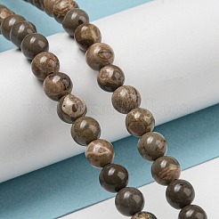 Natural Map Stone/Picasso Stone Beads Strands&nbsp;G-R494-A24-02