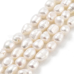 Natural Cultured Freshwater Pearl Beads Strands&nbsp;PEAR-P062-32D