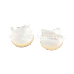Natural White Shell Beads&nbsp;SSHEL-N003-142