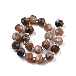 Natural Black Sunstone Beads Strands&nbsp;G-N327-08P
