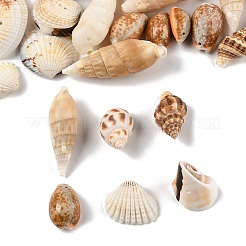 DIY Shell Pendant Making Kits&nbsp;DIY-FP0001-47