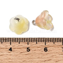 Glass Charms&nbsp;GLAA-G127-03