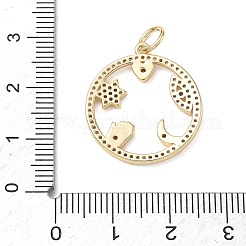 Brass Micro Pave Clear Cubic Zirconia Pendants&nbsp;CU-CBAFF5B-22G